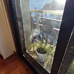 4 Con Patio Privado *