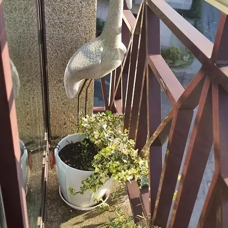 1 4 Personas En El Grove * O Grove